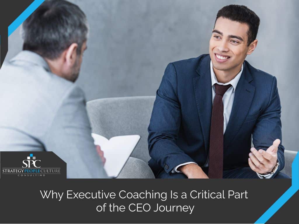 executive coaching critical ceo journey