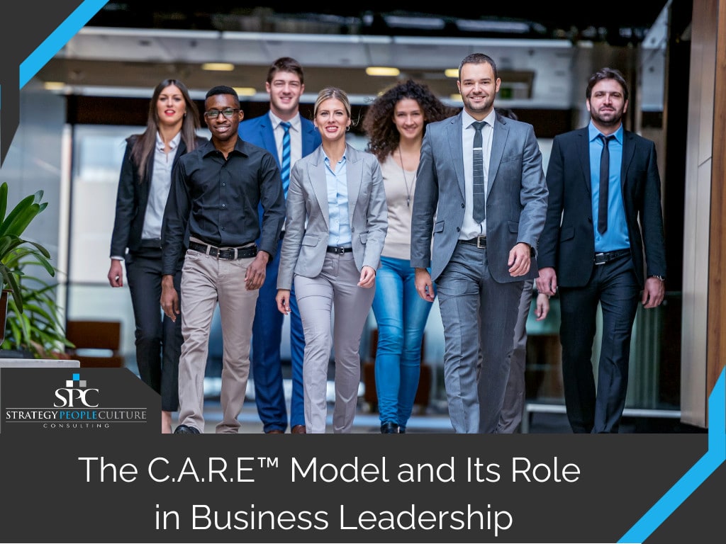 the care model role in business leadership
