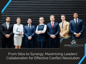 Fostering Collaboration