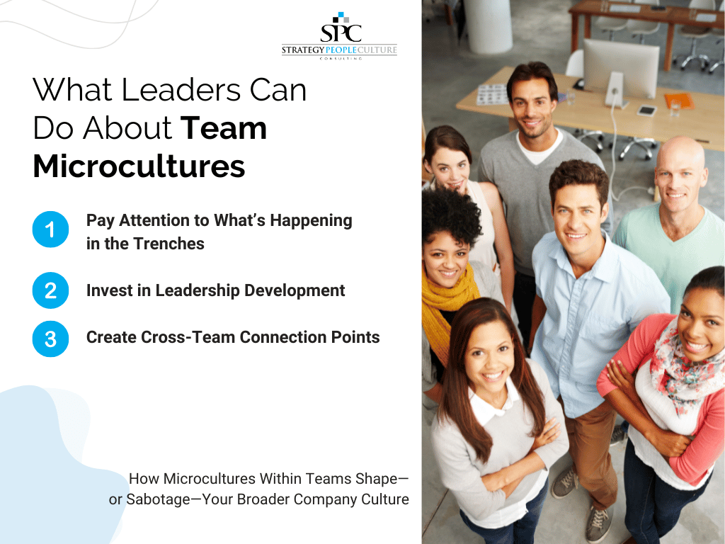 Leaders And Microculture